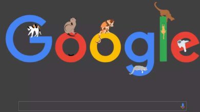 गूगल का ‘जीरो डे’ अलर्ट, भारतीय समेत 3.5 अरब लोगों पर मंडरा रहा संकट, ये काम करें तुरंत