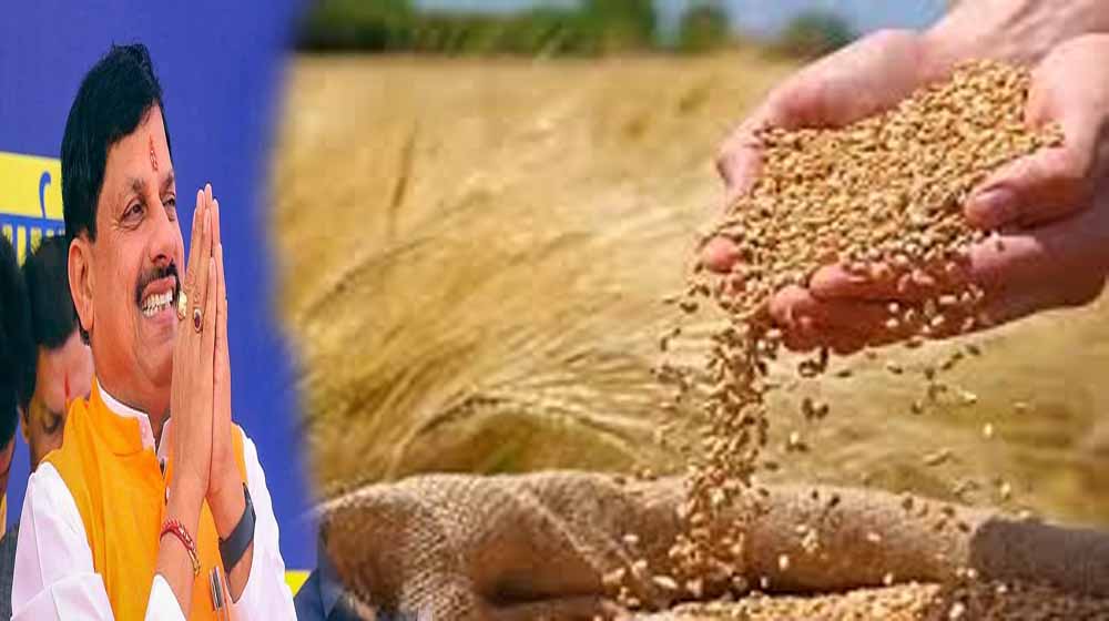 MP के किसानों को बड़ी सौगात: गेहूं पर ₹40 और उड़द पर ₹600 प्रति क्विंटल बोनस
