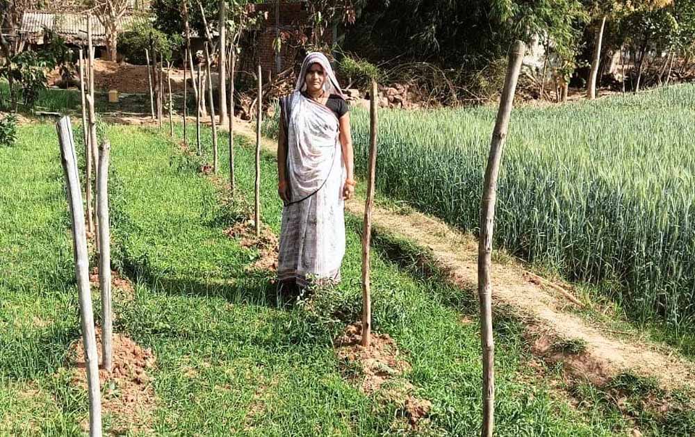 मेहनत से लिखी सफलता की कहानी