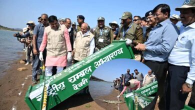 चीतों के बाद कूनो में घड़ियालों की एंट्री, सीएम ने 53 को चंबल से लाकर बसाया