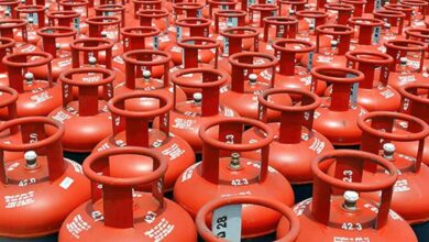 LPG सिलेंडरों की किल्लत पर सरकार सख्त, एस्मा लागू; पहले इन लोगों को मिलेगा गैस