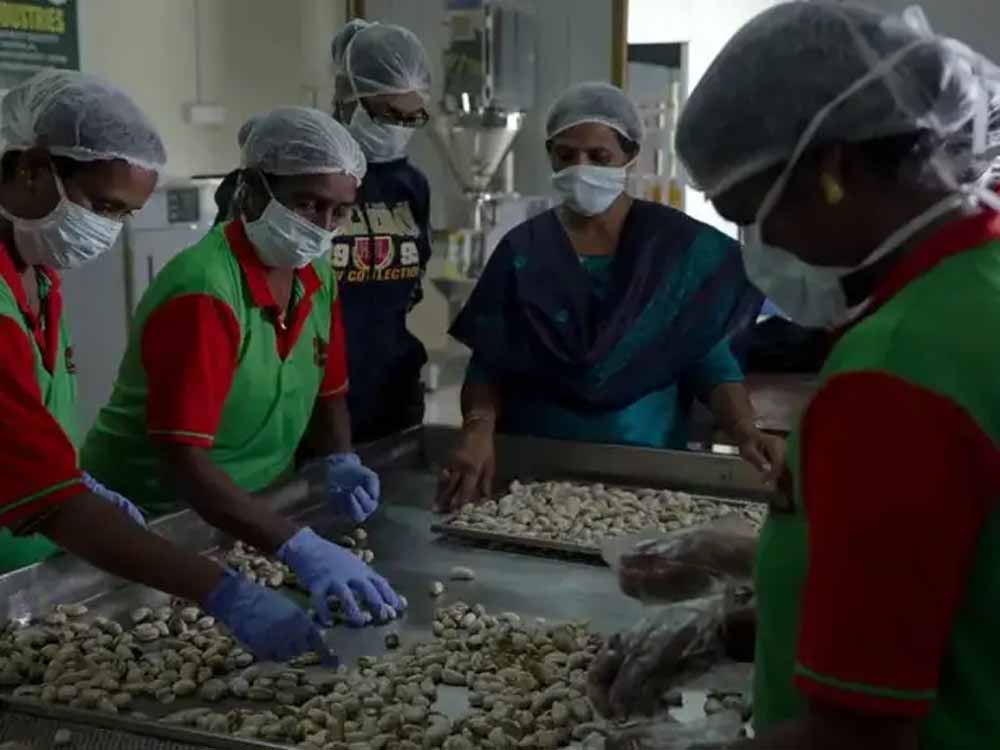 उत्तर प्रदेश में 9 हजार से अधिक महिला संचालित स्टार्टअप बना रहे नई पहचान