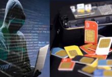 MP में साइबर पुलिस का ‘ऑपरेशन फेस’, 33 जिलों में एक ही चेहरे पर 36 हजार सिम सक्रिय