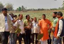 मध्यप्रदेश के किसानों का ग्राम लिंगाडीह आरंग में मखाना खेती भ्रमण एवं प्रशिक्षण संपन्न