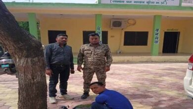 मुरैना के डायल 112 हीरोज: संवेदनशीलता का उदाहरण, घायल राष्ट्रीय पक्षी मोर को समय पर मिला उपचार मुरैना के डायल 112 हीरोज: संवेदनशीलता का उदाहरण, घायल राष्ट्रीय पक्षी मोर को समय पर मिला उपचार