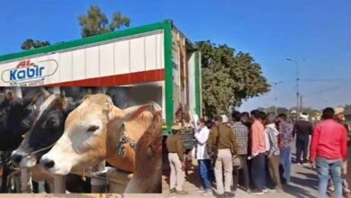 बीफ कांड में 56 दिन बाद कोर्ट में चालान पेश, कंटेनर में गौमांस की SIT ने की पुष्टि