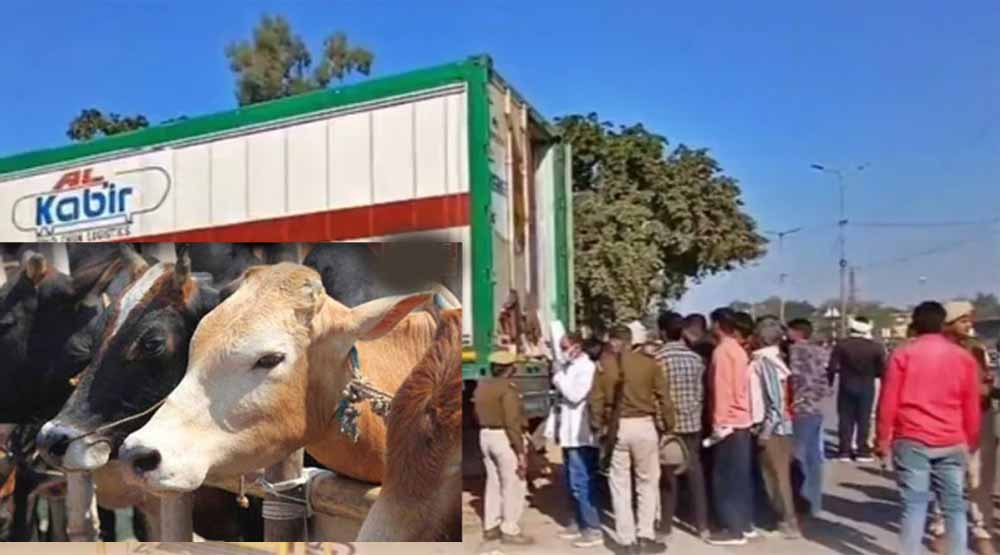 बीफ कांड में 56 दिन बाद कोर्ट में चालान पेश, कंटेनर में गौमांस की SIT ने की पुष्टि