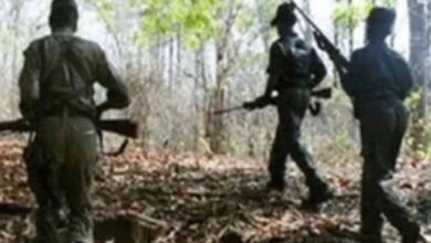 महासमुंद में माओवाद को बड़ा झटका, 15 नक्सलियों ने किया सरेंडर