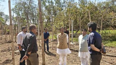 उप मुख्यमंत्री शुक्ल ने प्राकृतिक खेती का किया निरीक्षण उप मुख्यमंत्री शुक्ल ने प्राकृतिक खेती का किया निरीक्षण