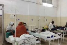 पन्ना में देसी नुस्खा पड़ा भारी, दर्द भगाने के लिए पिया धतूरे का काढ़ा; एक ही परिवार के 3 लोग अस्पताल में भर्ती