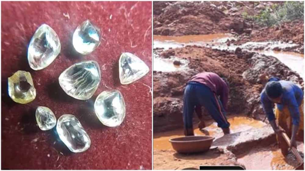 अंतरराष्ट्रीय युद्ध का असर: पन्ना का हीरा कारोबार 60% तक मंदा, 24 मार्च की नीलामी स्थगित