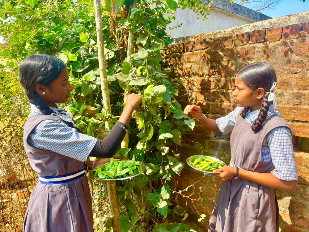 विद्यालय की बगिया से बच्चों की थाली तक पहुँच रहा ताजा और पौष्टिक आहार