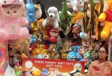 सरकारी प्रशिक्षण और सहयोग से बदली जिंदगी, सॉफ्ट टॉयज से पहचान बना रहीं वंदना