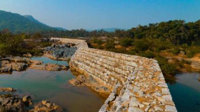 माओवादी हिंसा के बाद बदलती तस्वीर: बोधघाट में जंगल का अर्थशास्त्र ले सकता है नई दिशा