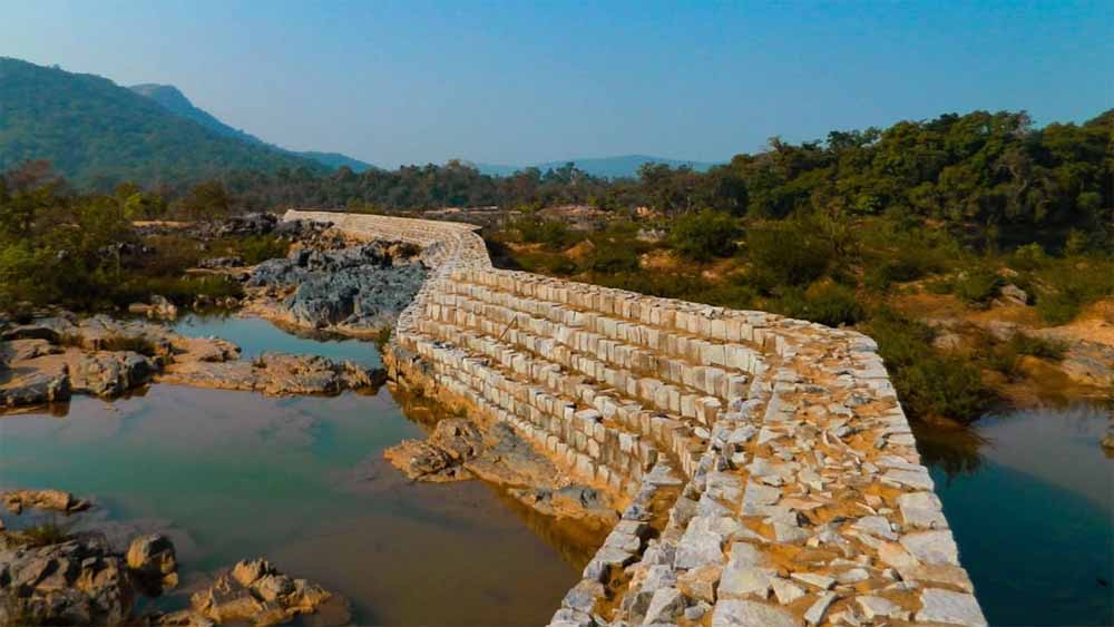 माओवादी हिंसा के बाद बदलती तस्वीर: बोधघाट में जंगल का अर्थशास्त्र ले सकता है नई दिशा