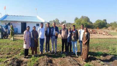 मिट्टी से जुड़ा हौसला बना पहचान पूजा माहौरे ने प्राकृतिक खेती से रची सफलता की मिसाल