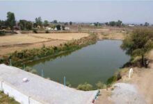 अमृत सरोवर से रिझोरा में लौटी हरियाली और खुशहाली