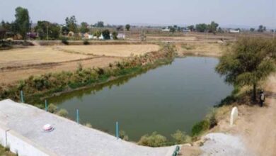 अमृत सरोवर से रिझोरा में लौटी हरियाली और खुशहाली अमृत सरोवर से रिझोरा में लौटी हरियाली और खुशहाली