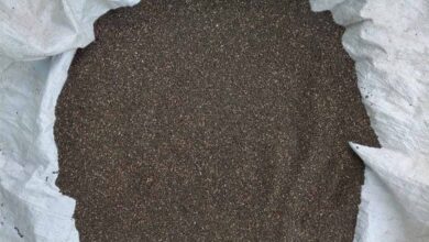 सिताही कुटकी, नागदमन कुटकी और बैंगनी अरहर बनेगी शान