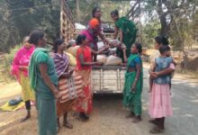 वनांचल की किस्मत बदलने वाली फसल साबित हुई इमली