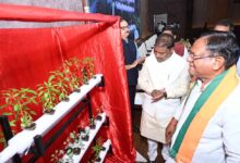 वन आधारित अर्थव्यवस्था को मजबूत करने पर दें जोर: वन मंत्री  कश्यप