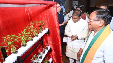 वन आधारित अर्थव्यवस्था को मजबूत करने पर दें जोर: वन मंत्री  कश्यप