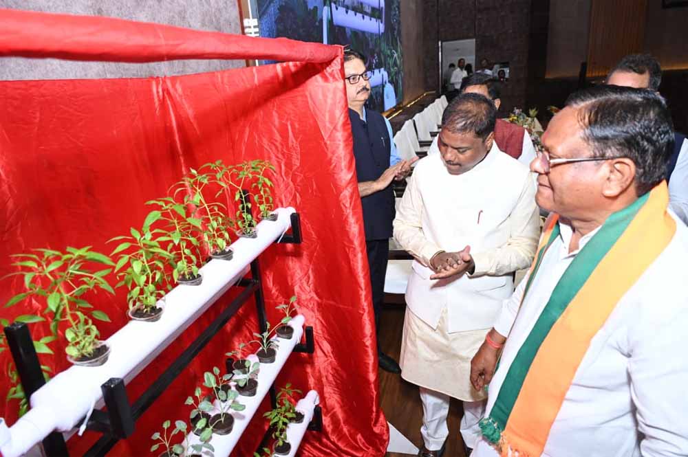 वन आधारित अर्थव्यवस्था को मजबूत करने पर दें जोर: वन मंत्री कश्यप वन आधारित अर्थव्यवस्था को मजबूत करने पर दें जोर: वन मंत्री कश्यप