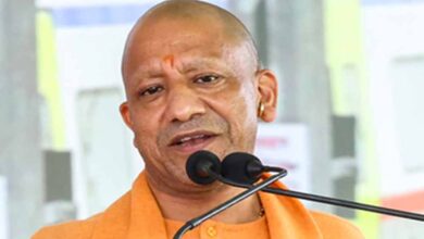 मैनपुरी और इटावा में विकसित होगा सारस सर्किट, सारस संरक्षण के साथ इको टूरिज्म को बढ़ावा