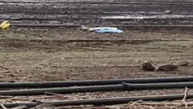 भालीवाड़ा जलाशय में मोटरों का अंधाधुंध इस्तेमाल, तेजी से गिर रहा पानी का स्तर