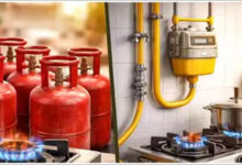PNG कनेक्शन वालों को LPG पर झटका! केंद्र सरकार का बड़ा फैसला, सिलेंडर नहीं मिलेगा