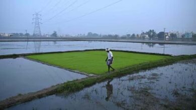 युद्ध का सीधा असर खेती पर: कीटनाशक 30% महंगे, किसानों की लागत बढ़ने की आशंका