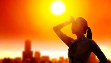 छत्तीसगढ़ में बढ़ेगी तपिश: अगले चार दिनों तक चढ़ता जाएगा पारा, बारिश की संभावना नहीं