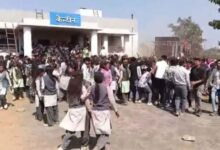 होली उत्सव में मचा हड़कंप: मधुमक्खियों के हमले से सहमे छात्र