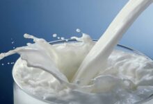 हौसले और मेहनत से पूजा ने रचा सफलता का नया अध्याय, 80 लाख का वार्षिक कारोबार