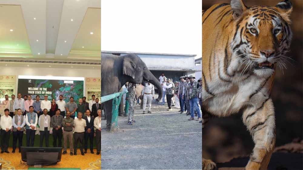 पन्ना में MP का पहला वन्यजीव-केंद्रित CSR कॉन्क्लेव, संरक्षण के लिए वन विभाग-उद्योग जगत साथ आए