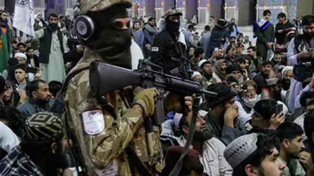 पाकिस्तान का बड़ा दावा: 350 तालिबानी ढेर, रमजान में तेज हुई जंग पाकिस्तान का बड़ा दावा: 350 तालिबानी ढेर, रमजान में तेज हुई जंग