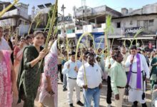 पाम संडे पर प्रार्थना और जुलूस, देश-विदेश में शांति की कामना