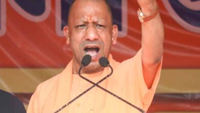 यूपी में गोहत्या और तस्करी पर सख्ती: 35 हजार से ज्यादा आरोपी भेजे गए जेल