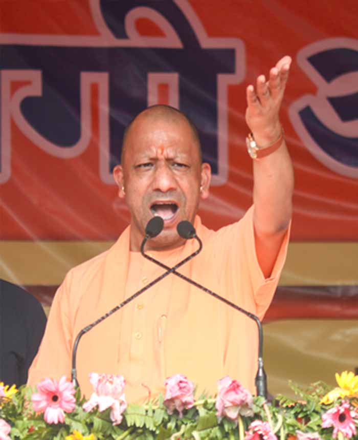 यूपी में गोहत्या और तस्करी पर सख्ती: 35 हजार से ज्यादा आरोपी भेजे गए जेल