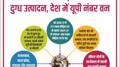 योगी सरकार में बढ़ा 40 फीसदी दुग्ध उत्पादन, देश में यूपी नंबर वन