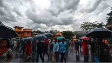 यूपी के 51 जिलों में बारिश और बिजली का अलर्ट, प्रयागराज समेत कई शहरों में आंधी की चेतावनी