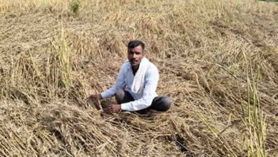 यूपी में थमेगा मौसम का मिजाज, अब तीखी धूप और गर्म हवाओं के साथ 10 डिग्री तक बढ़ेगा पारा और गर्मी ढाएगी कहर