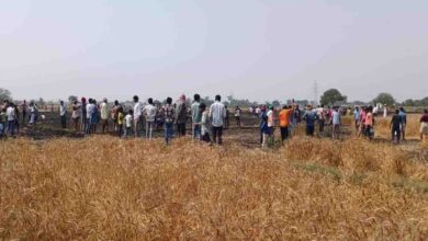 चंदौली में गेहूं की फसल पर आग का तांडव, 10 बीघा से अधिक खेत जलकर राख