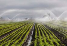 रायपुर : दो सिंचाई योजना के लिए 6.12 करोड़ रुपये स्वीकृत