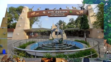इंदौर चिड़ियाघर में बनेगी अंडर वॉटर टनल, दुबई और सिंगापुर की तर्ज पर 35 करोड़ का मॉडल