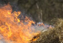 आगजनी के बाद कृषि विभाग की अपील: ज्वलनशील पदार्थों से खलिहानों का करें बचाव