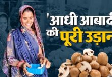 महिला उद्यमिता से ग्रामीण अर्थव्यवस्था को मिल रही नई मजबूती