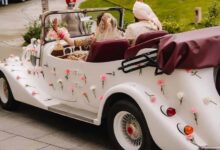 ग्वालियर में शादी सीजन में विंटेज कारों की धूम, किराया 11 हजार से 35 हजार तक पहुंचा