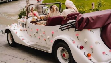 ग्वालियर में शादी सीजन में विंटेज कारों की धूम, किराया 11 हजार से 35 हजार तक पहुंचा