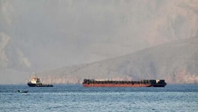 होर्मुज स्ट्रेट पर नई ‘जंग’: क्या जहाजों से वसूली करेगा ईरान? EU और अरब मुल्कों का विरोध